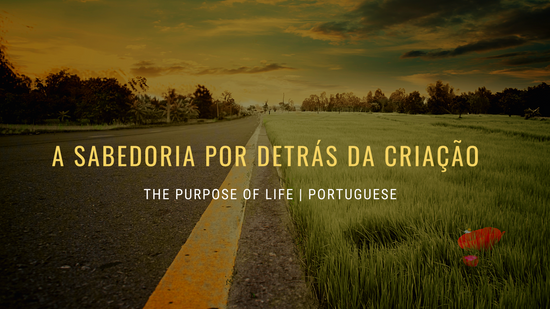 The Purpose of Life | Portuguese